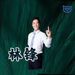 林锋